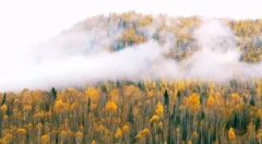 【謹(jǐn)記】安全隱患！秋季裝修需謹(jǐn)慎?。?！